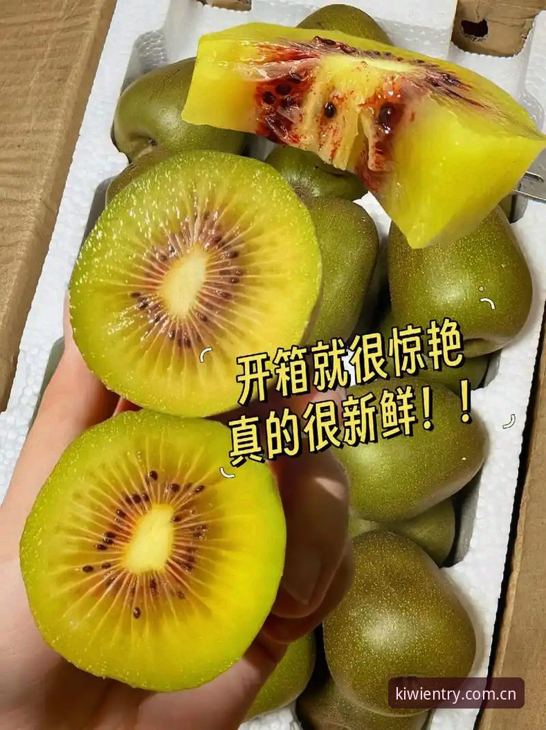 新手必看：奇异果体育安卓下载必备的5个关键步骤