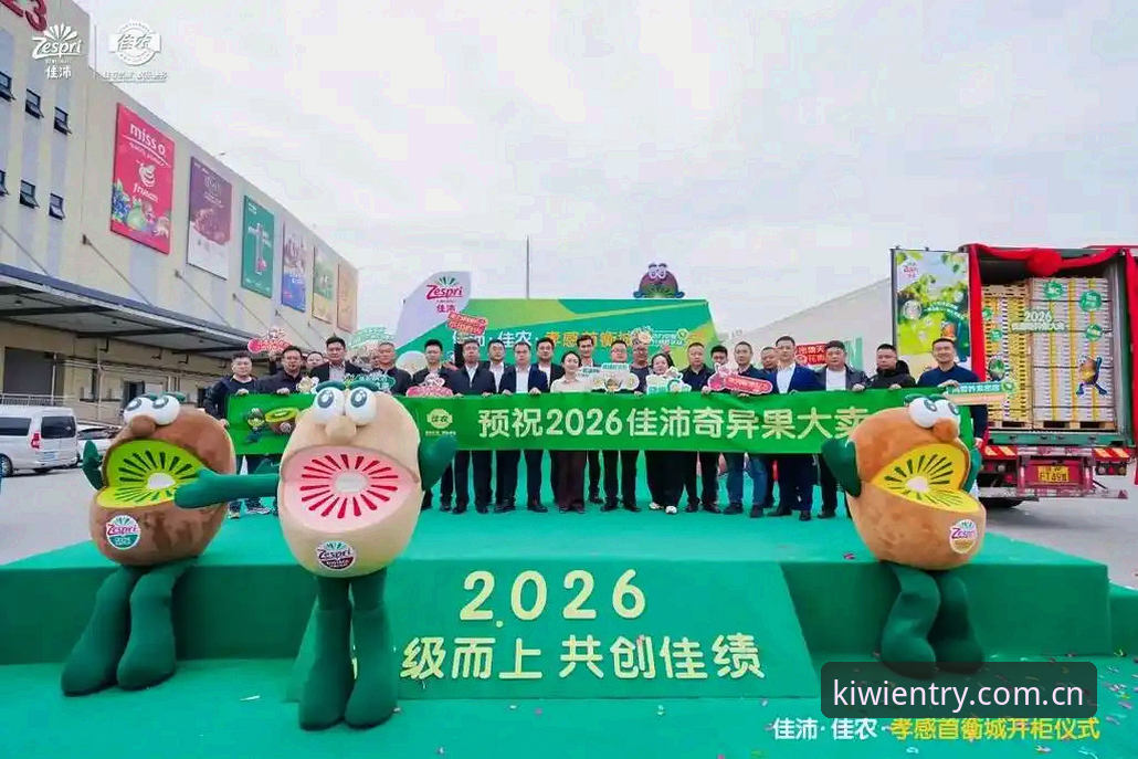 2026奇异果体育app官网的7大核心升级功能与使用全攻略