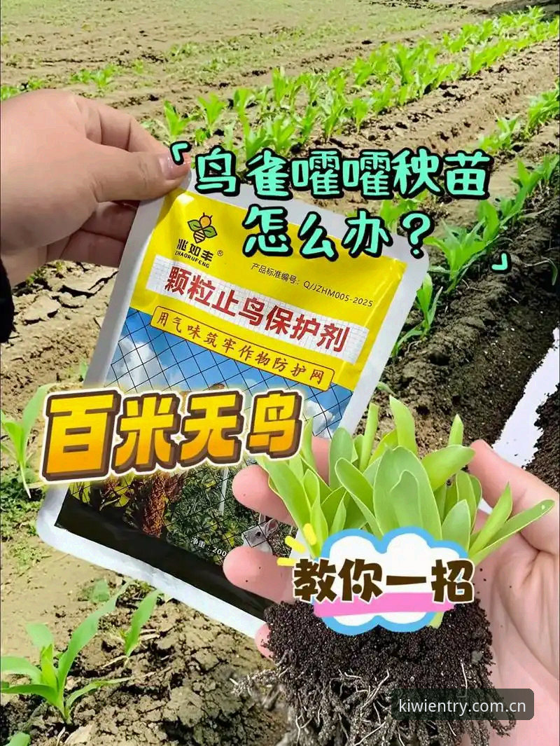 奇异果体育在线登录 深度揭秘奇异果体育在线登录的技术细节与2025新版体验真相