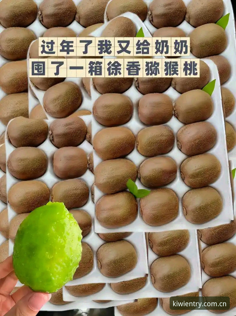 7个关键维度：奇异果体育安卓版对比2025新版与旧版的真实差异