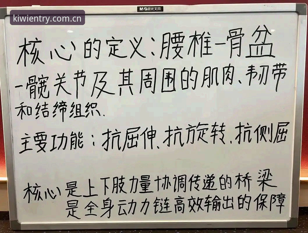从新手到进阶：我深度体验奇异果体育智能功能后的使用心得